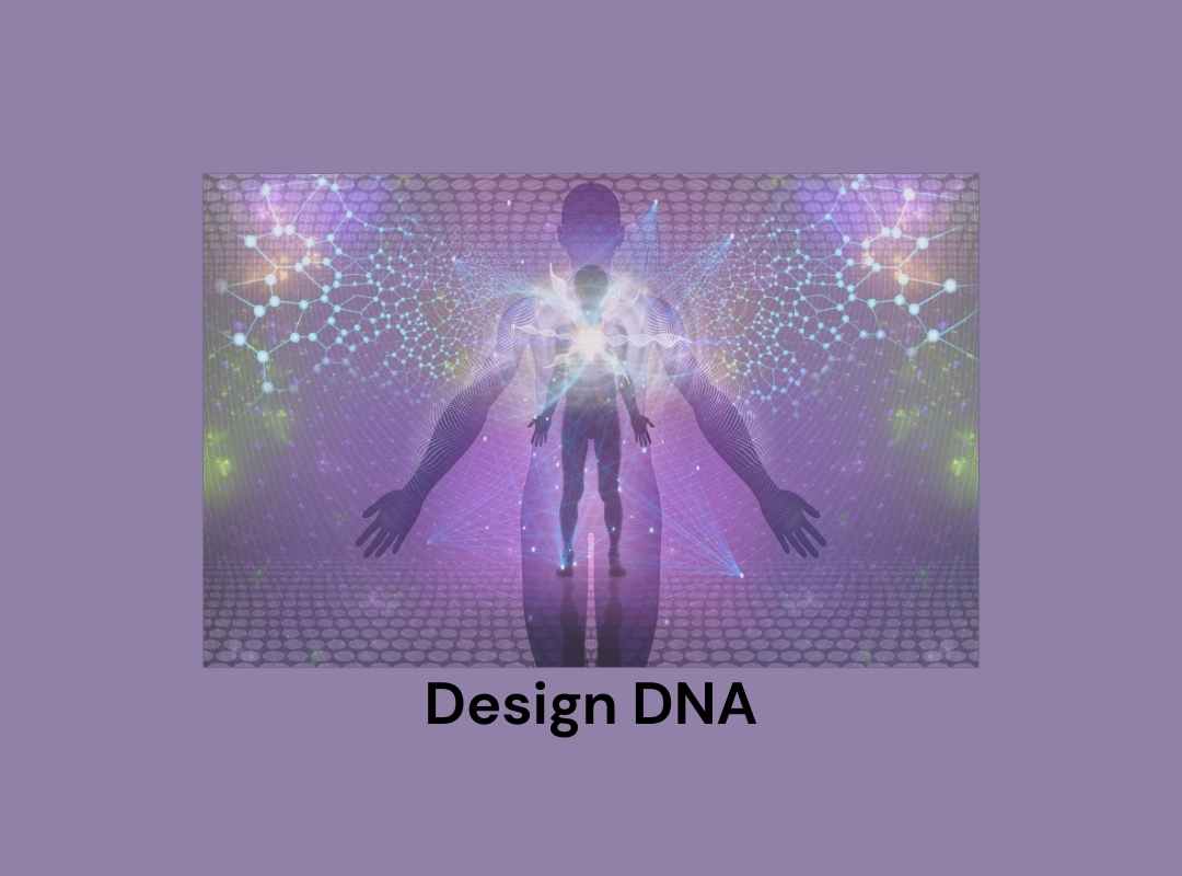 Unveiling Your Design DNA The Key to Successful Home Transformation